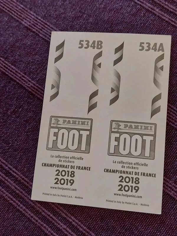 Panini / Adesivo / Havre AC / Futebol 2018-2019 – photo 2